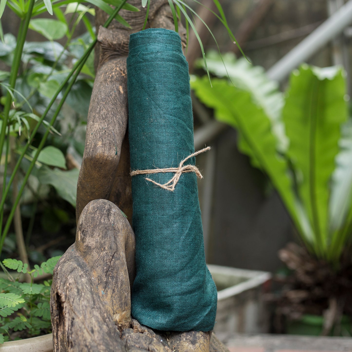 Raw hemp fabric, natural color in dark green