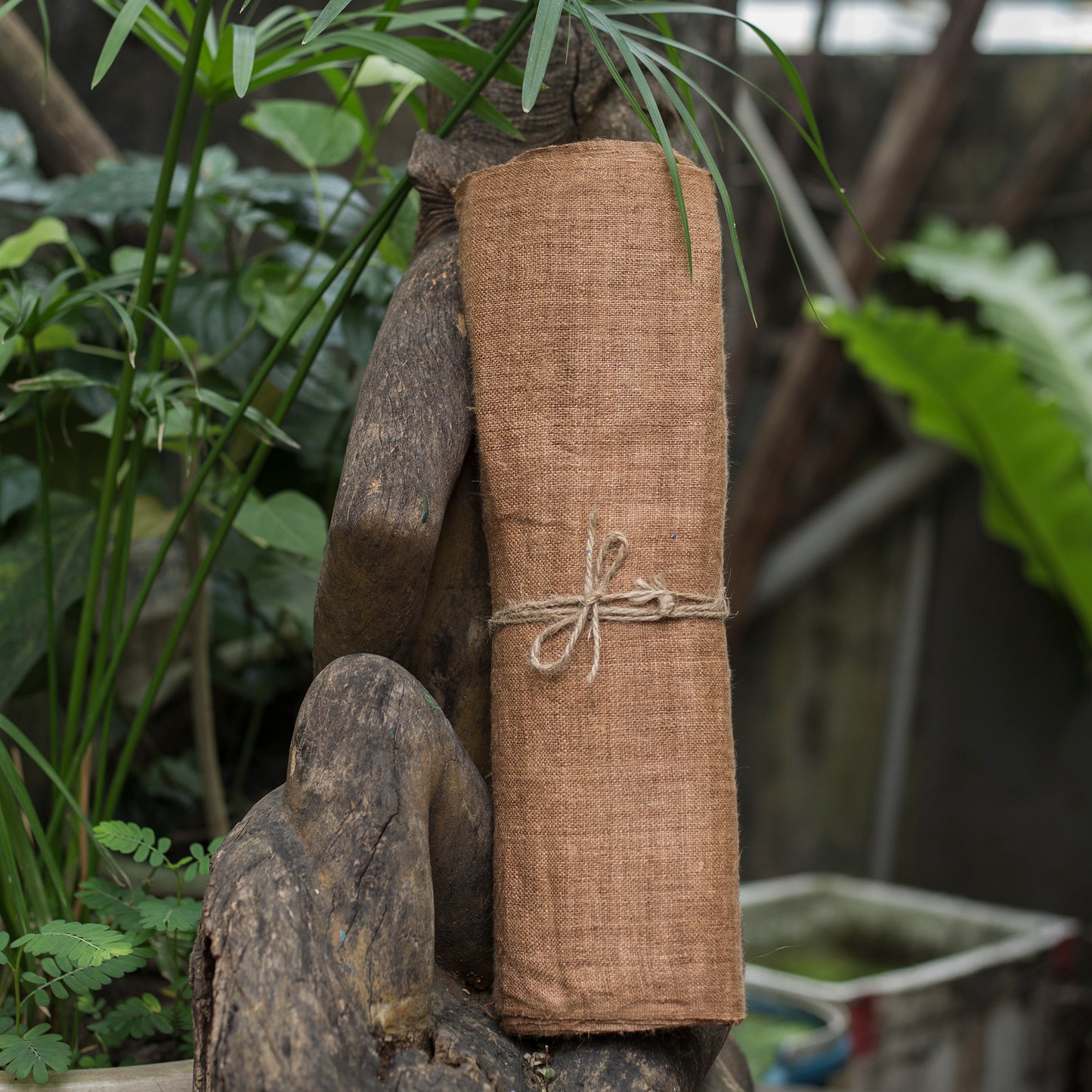 Raw hemp fabric, natural color in LIGHT SEPIA BROWN